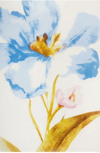 Изображение товара Мыльница Рыжий кот Прованс SD-PROV / 002002