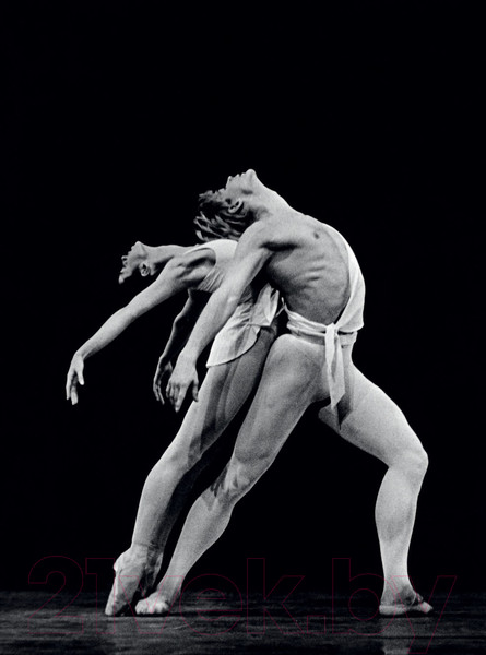 Изображение товара Книга АСТ Андрис Лиепа. Автографы и имиджи (Аловерт Н.)