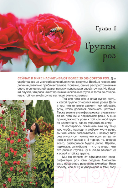 Изображение товара Книга АСТ Сад любимых цветов с Ларисой Кочелаевой (Кочелаева Л.Н.)