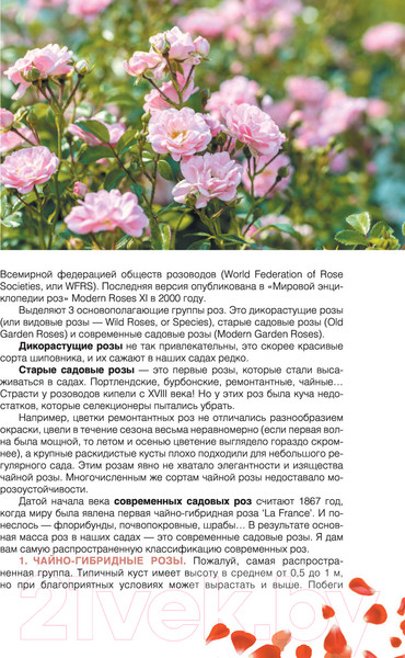 Изображение товара Книга АСТ Сад любимых цветов с Ларисой Кочелаевой (Кочелаева Л.Н.)