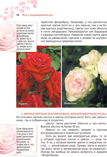 Изображение товара Книга АСТ Сад любимых цветов с Ларисой Кочелаевой (Кочелаева Л.Н.)