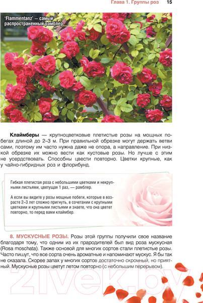 Изображение товара Книга АСТ Сад любимых цветов с Ларисой Кочелаевой (Кочелаева Л.Н.)