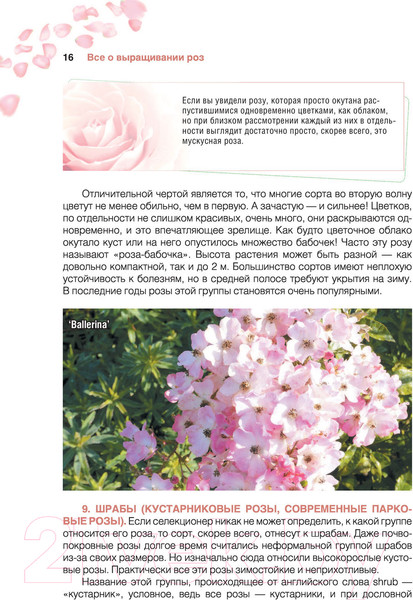 Изображение товара Книга АСТ Сад любимых цветов с Ларисой Кочелаевой (Кочелаева Л.Н.)