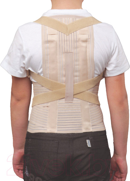 Изображение товара Корректор осанки Prolife Orto ARC1161