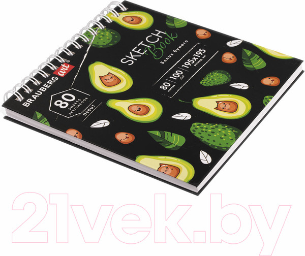 Изображение товара Скетчбук Brauberg Art Debut / 112986 (белая бумага)