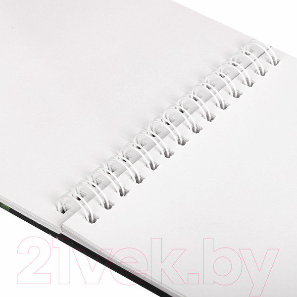 Изображение товара Скетчбук Brauberg Art Debut / 112986 (белая бумага)