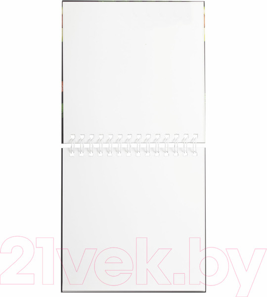 Изображение товара Скетчбук Brauberg Art Debut / 112986 (белая бумага)