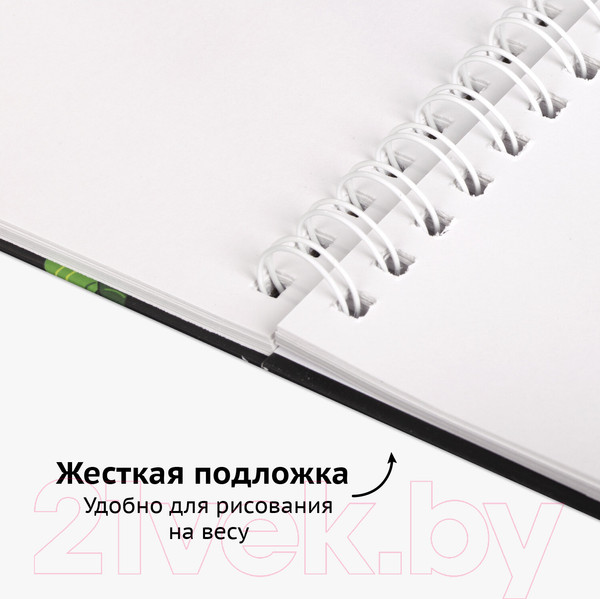 Изображение товара Скетчбук Brauberg Art Debut / 112986 (белая бумага)