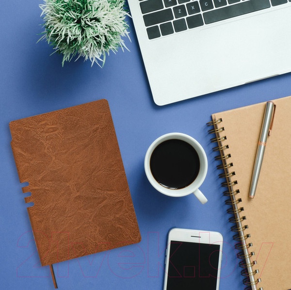 Изображение товара Записная книжка Brauberg Nebraska / 113412 (коричневый)