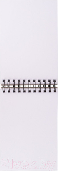 Изображение товара Скетчбук Brauberg Art Classic / 113851 (белая бумага)