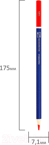 Изображение товара Набор акварельных карандашей Brauberg Art Classic / 181531 (36цв)