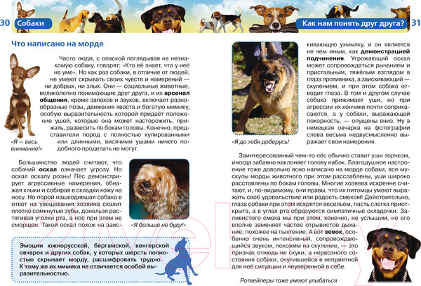 Изображение товара Энциклопедия Росмэн Собаки (Травина И.)