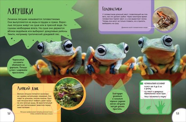 Изображение товара Энциклопедия Росмэн Животные. Новая детская энциклопедия (Клюшник Л.В.)