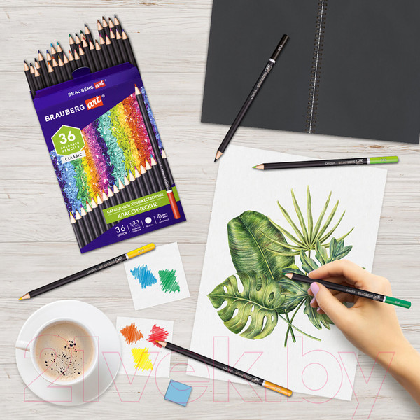 Изображение товара Набор цветных карандашей Brauberg Art Classic / 181538 (36цв)