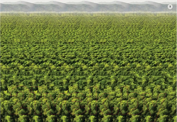 Изображение товара Развивающие карточки Робинс Стереокартинки для всей семьи