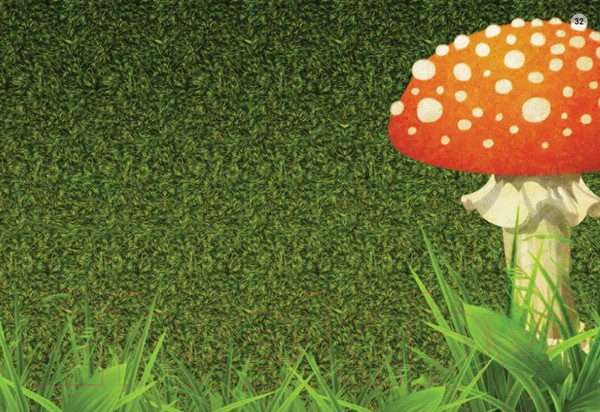 Изображение товара Развивающие карточки Робинс Стереокартинки для всей семьи