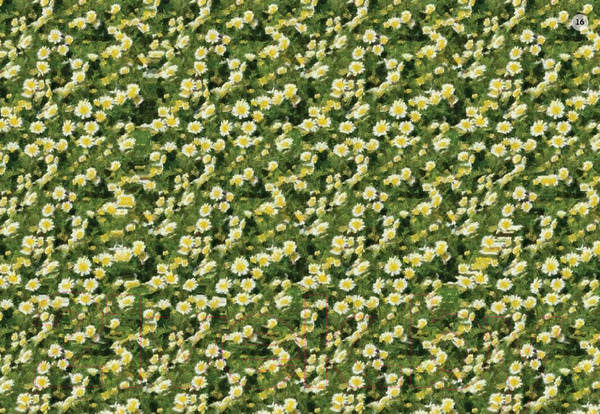 Изображение товара Развивающие карточки Робинс Стереокартинки для всей семьи