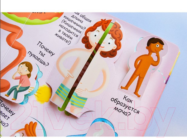 Изображение товара Развивающая книга Робинс Волшебные окошки. Мое тело