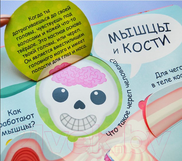 Изображение товара Развивающая книга Робинс Волшебные окошки. Мое тело