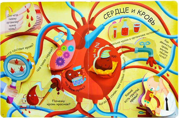 Изображение товара Развивающая книга Робинс Волшебные окошки. Мое тело