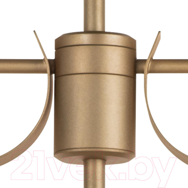 Изображение товара Люстра Lightstar Ragno 733283 (MD21041-8A)