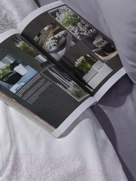 Изображение товара Комплект постельного белья Ночь нежна Royal Лес 2 сп Евро 50x70 / 70161-1+633