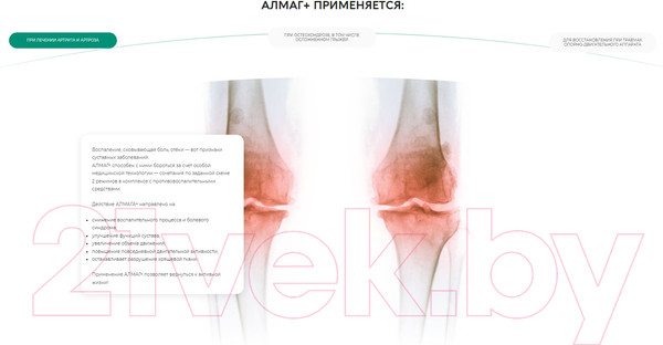 Изображение товара Аппарат магнитотерапии Еламед Алмаг+