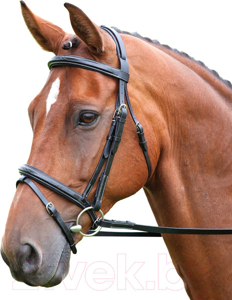 Изображение товара Оголовье для лошади Salisbury Bodenham COB / 293/BLACK/COB (черный)