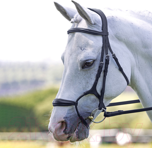 Изображение товара Оголовье для лошади Shires Velociti Jumping COB / 5077/BLACK/COB (черный)