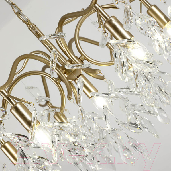 Изображение товара Люстра FAVOURITE Brillo 3003-7P