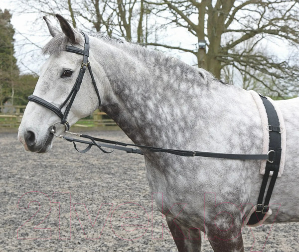 Изображение товара Шамбон для лошади Shires 411/BLACK