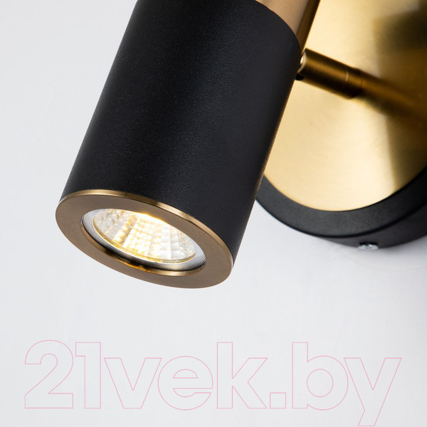 Изображение товара Спот FAVOURITE Light Point 2997-1W