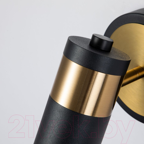 Изображение товара Спот FAVOURITE Light Point 2997-1W