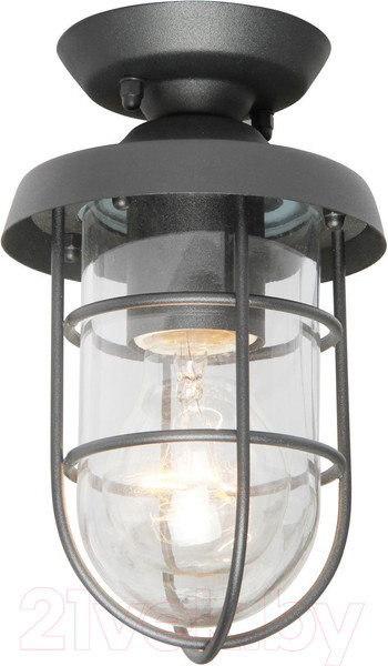 Изображение товара Светильник уличный FAVOURITE Pointer 3021-1P