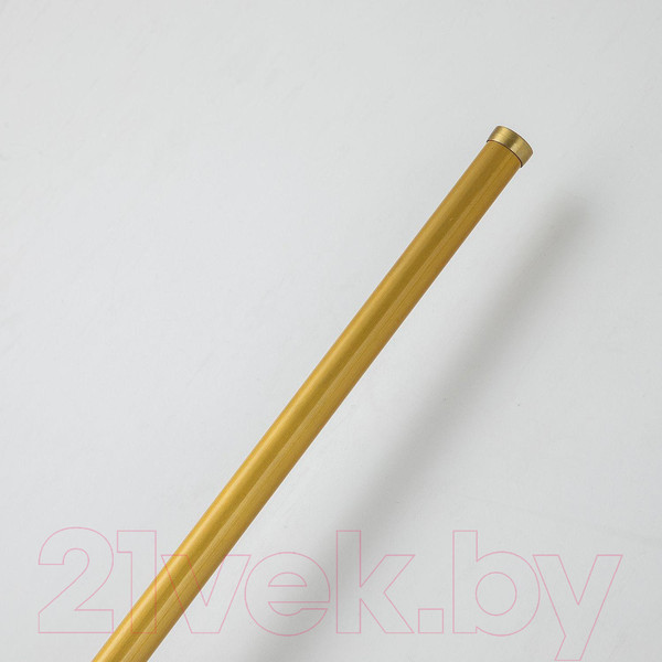 Изображение товара Бра FAVOURITE Reed 3001-3W