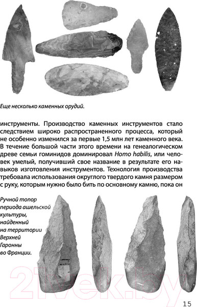 Изображение товара Книга АСТ Взламывая научные теории (Джексон Т.)