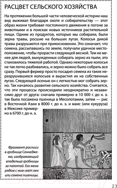 Изображение товара Книга АСТ Взламывая научные теории (Джексон Т.)