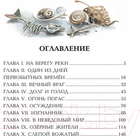 Изображение товара Книга Эксмо Приключения доисторического мальчика (Д'Эрвильи Э.)