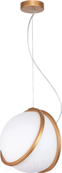 Изображение товара Потолочный светильник ST Luce Acerra SL1181.353.01