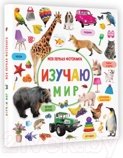 Изображение товара Развивающая книга АСТ Изучаю мир. Моя первая фотокнига (Дмитриева В.Г.)
