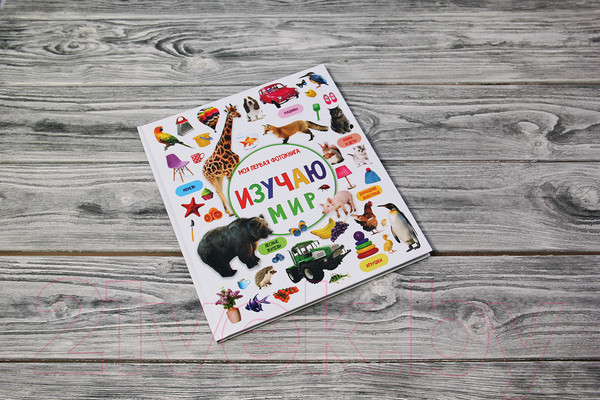 Изображение товара Развивающая книга АСТ Изучаю мир. Моя первая фотокнига (Дмитриева В.Г.)
