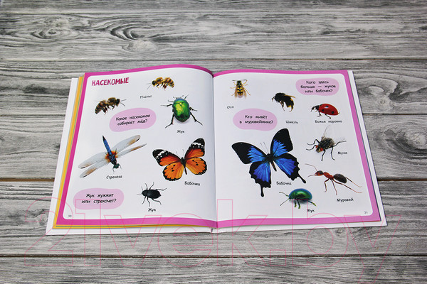 Изображение товара Развивающая книга АСТ Изучаю мир. Моя первая фотокнига (Дмитриева В.Г.)