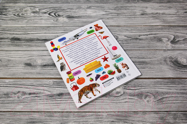 Изображение товара Развивающая книга АСТ Изучаю мир. Моя первая фотокнига (Дмитриева В.Г.)