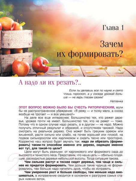 Изображение товара Книга АСТ Сад и огород с Николаем Курдюмовым (Курдюмов Н.И.)