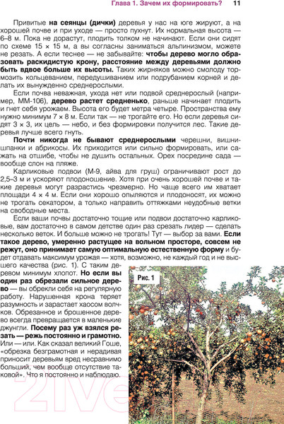 Изображение товара Книга АСТ Сад и огород с Николаем Курдюмовым (Курдюмов Н.И.)