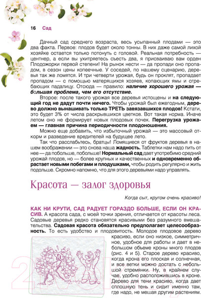 Изображение товара Книга АСТ Сад и огород с Николаем Курдюмовым (Курдюмов Н.И.)