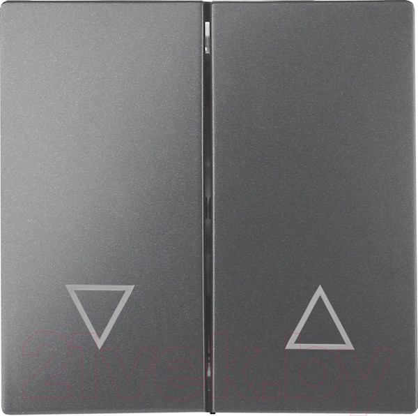 Изображение товара Клавиша для выключателя ЭРА 12-6203-12 / Б0047856 (графит)