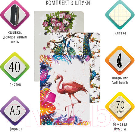 Изображение товара Набор тетрадей Brauberg Summer / 403793 (3шт)