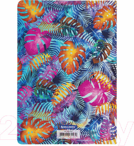 Изображение товара Набор тетрадей Brauberg Summer / 403793 (3шт)
