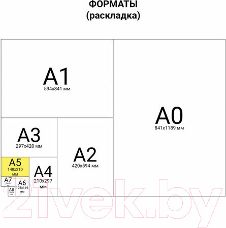 Изображение товара Набор тетрадей Brauberg Summer / 403793 (3шт)
